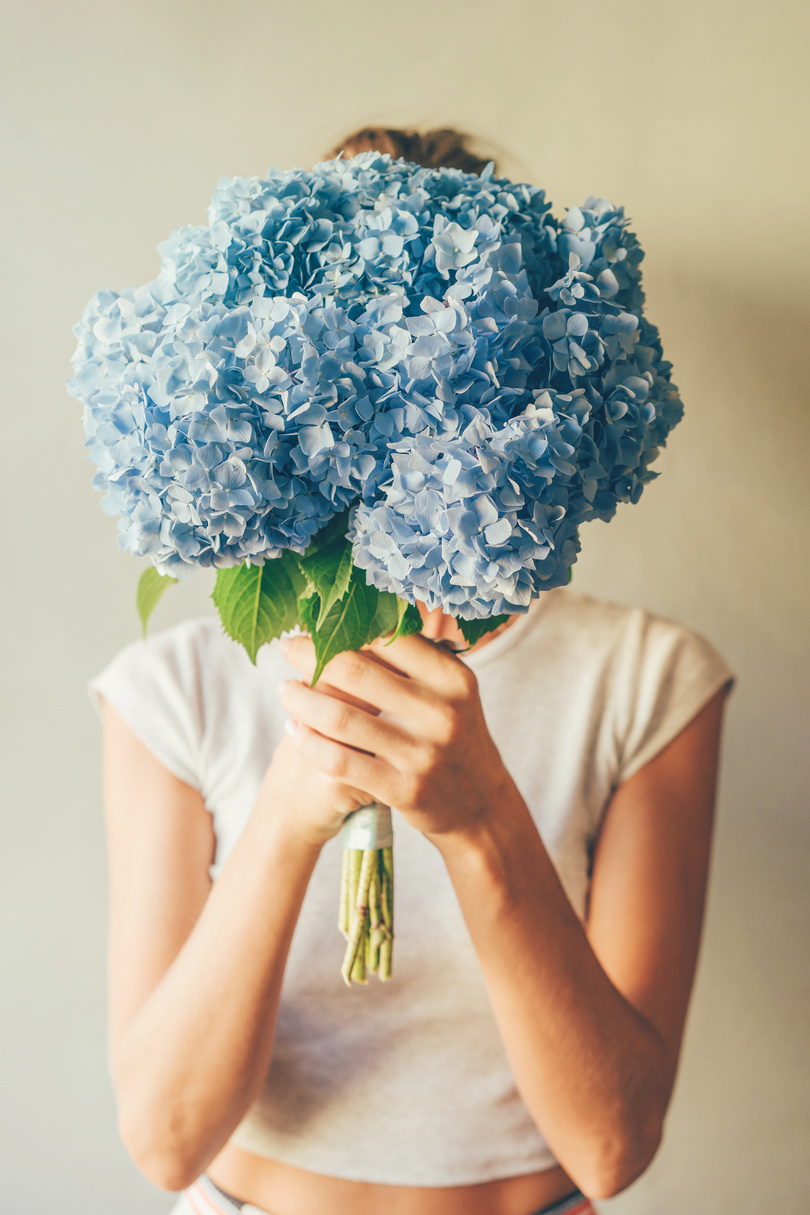 Woman Holding Blue Hydrangea Flowers
