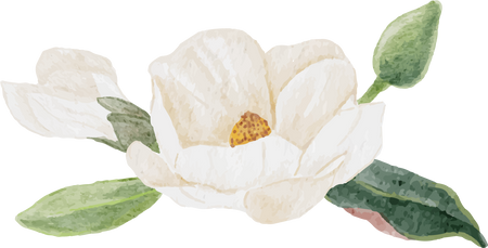 Watercolor White Magnolia Flower and Leaf Branch Bouquet