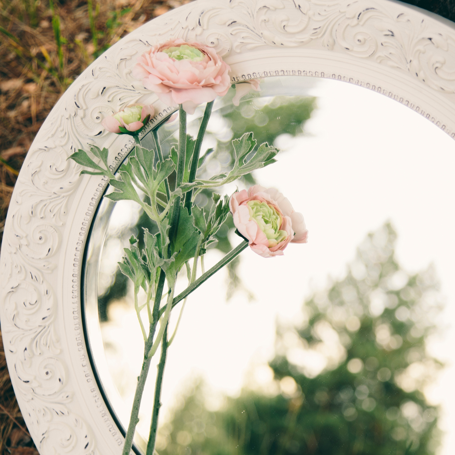 Mirror and Flowers